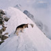 Riky della Tana della Marmotta - photo by Remo Degioanni